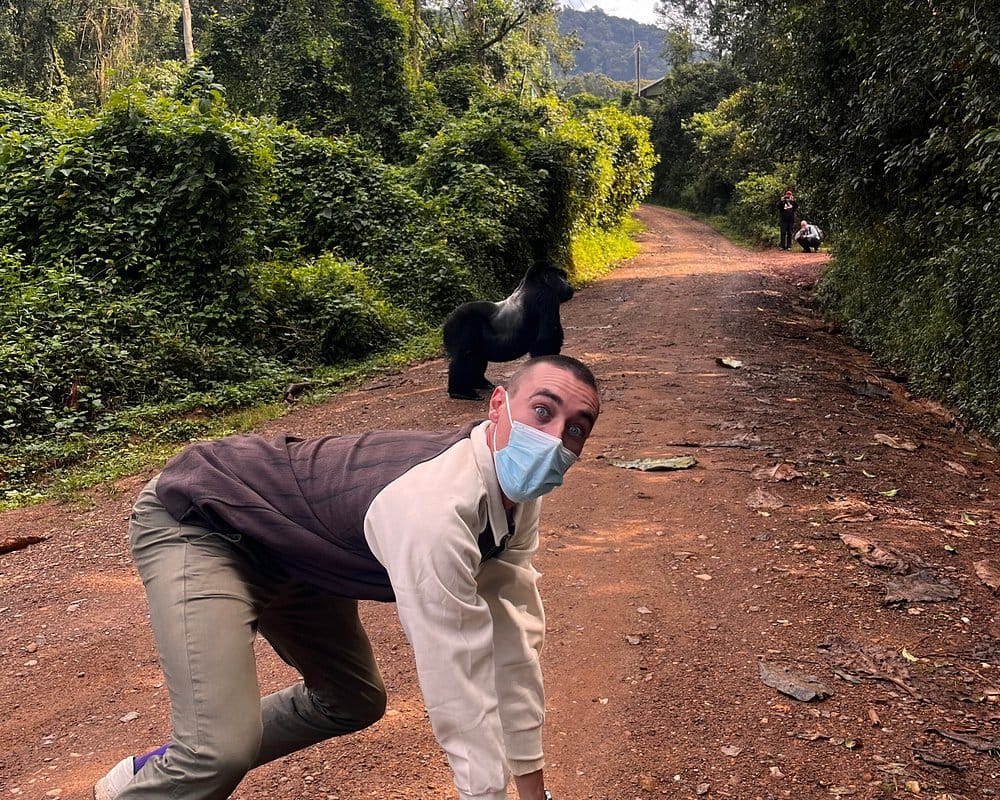 Gorilla trekking