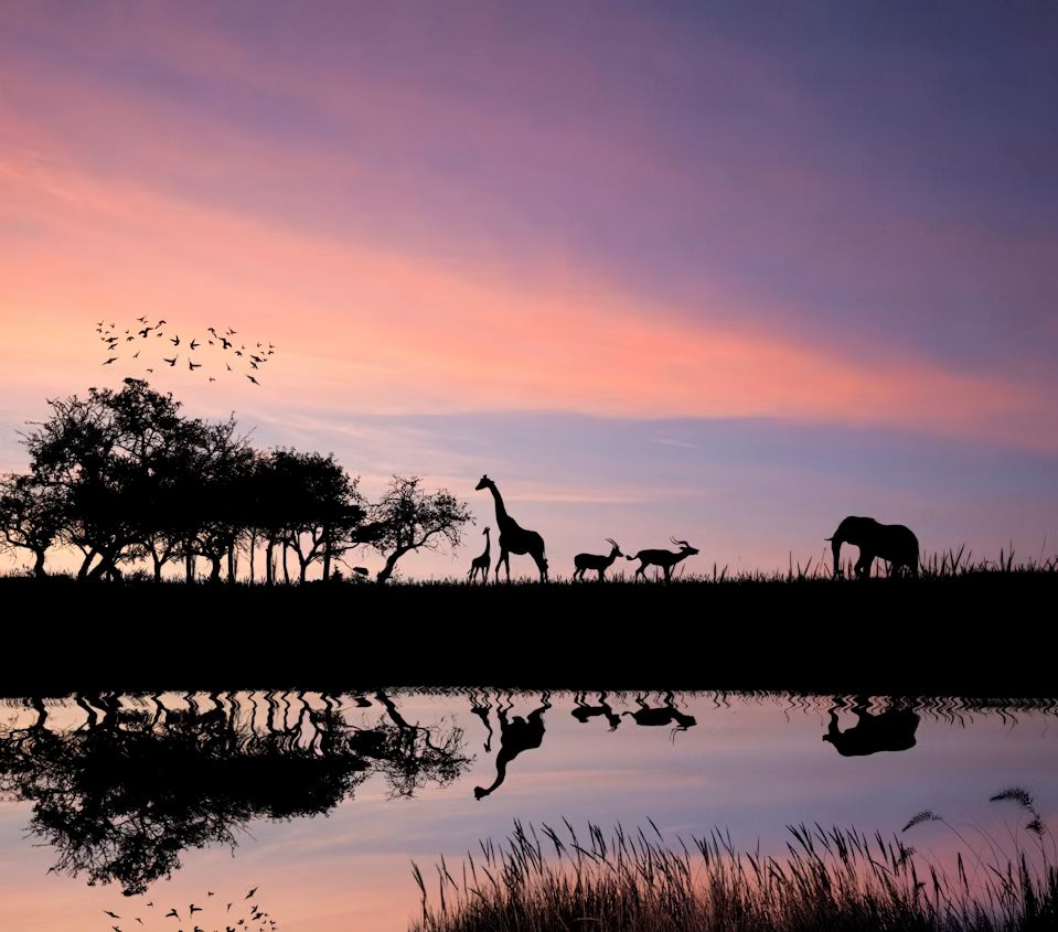 East African landscape