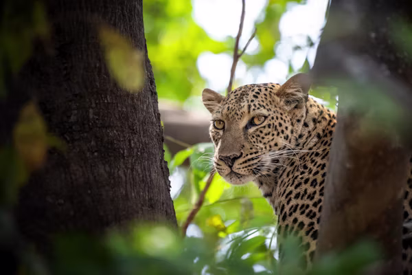 Future of responsible tourism