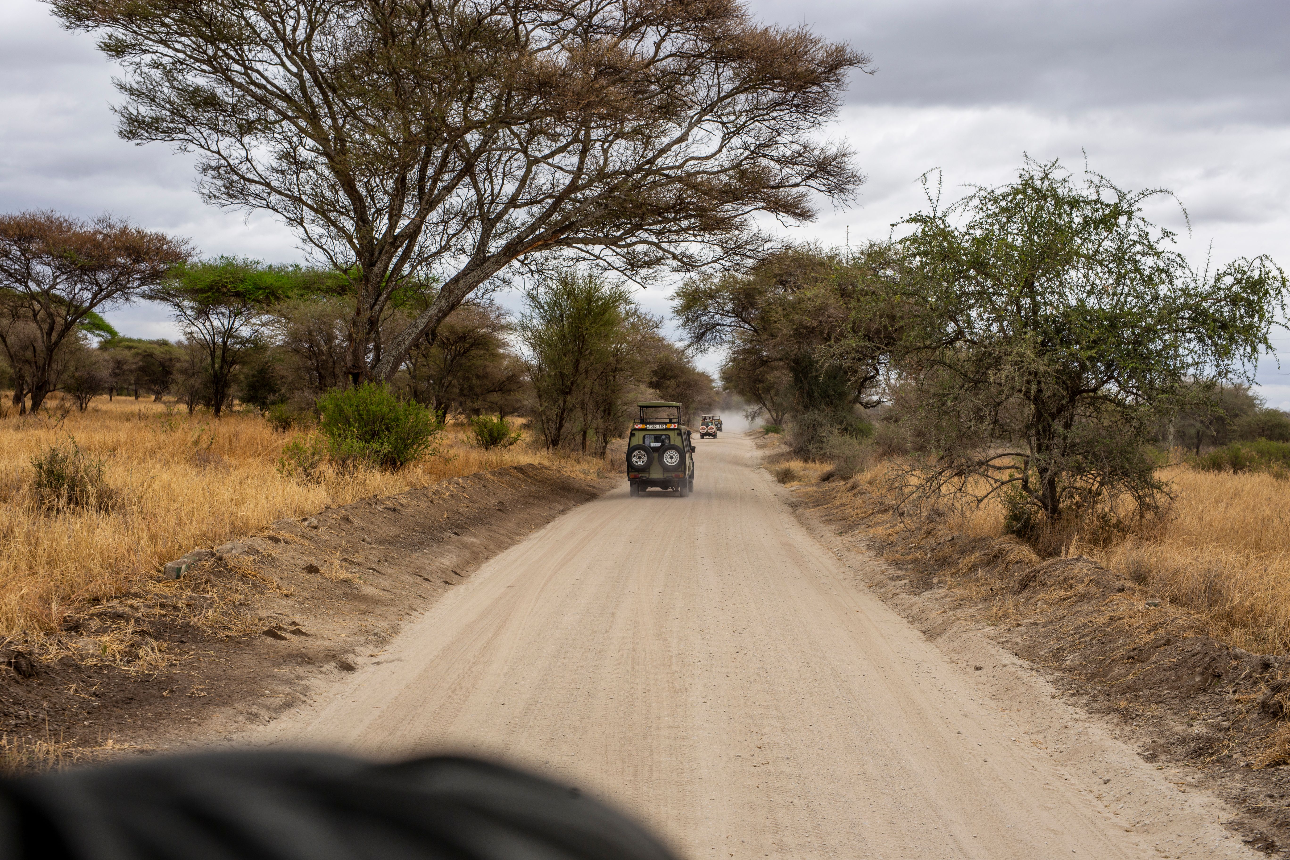 Safari adventure across East Africa