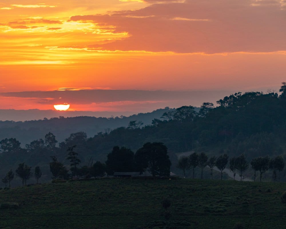 Sunset on safari